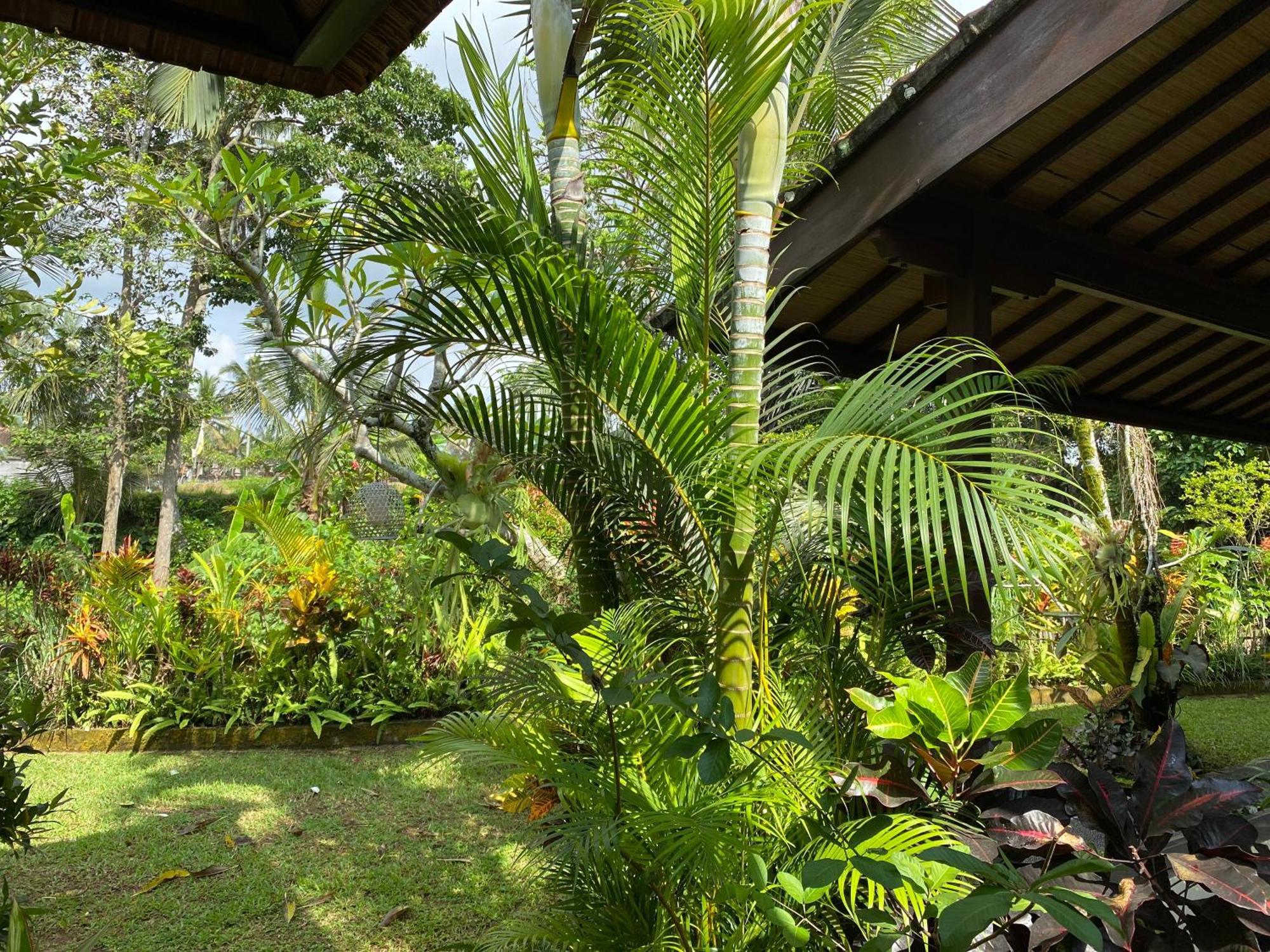 Villa Alam Surya Ubud Exterior foto